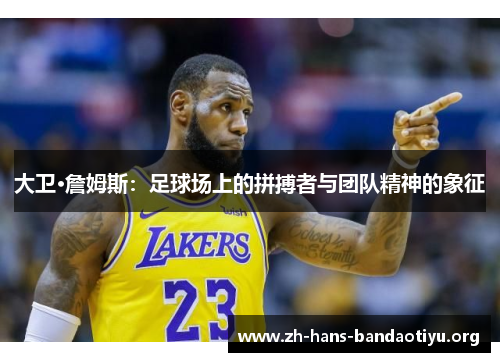 大卫·詹姆斯：足球场上的拼搏者与团队精神的象征