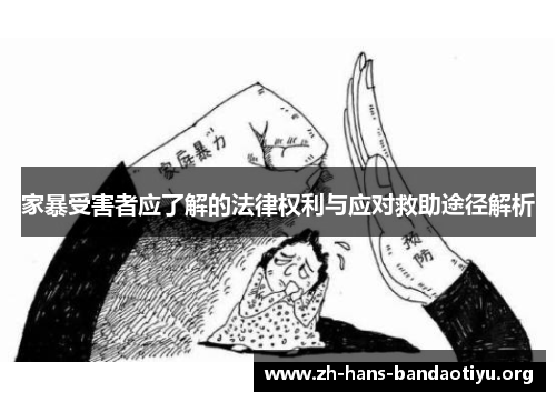 家暴受害者应了解的法律权利与应对救助途径解析