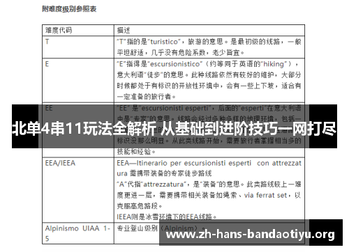 北单4串11玩法全解析 从基础到进阶技巧一网打尽