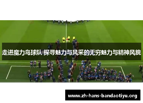 走进魔力鸟球队 探寻魅力与风采的无穷魅力与精神风貌
