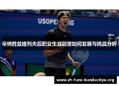 辛纳胜兹维列夫后职业生涯前景如何发展与挑战分析 辛纳胜兹维列夫后职业生涯前景如何发展与挑战分析