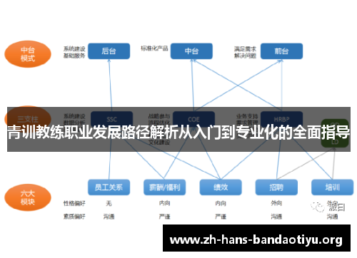 青训教练职业发展路径解析从入门到专业化的全面指导